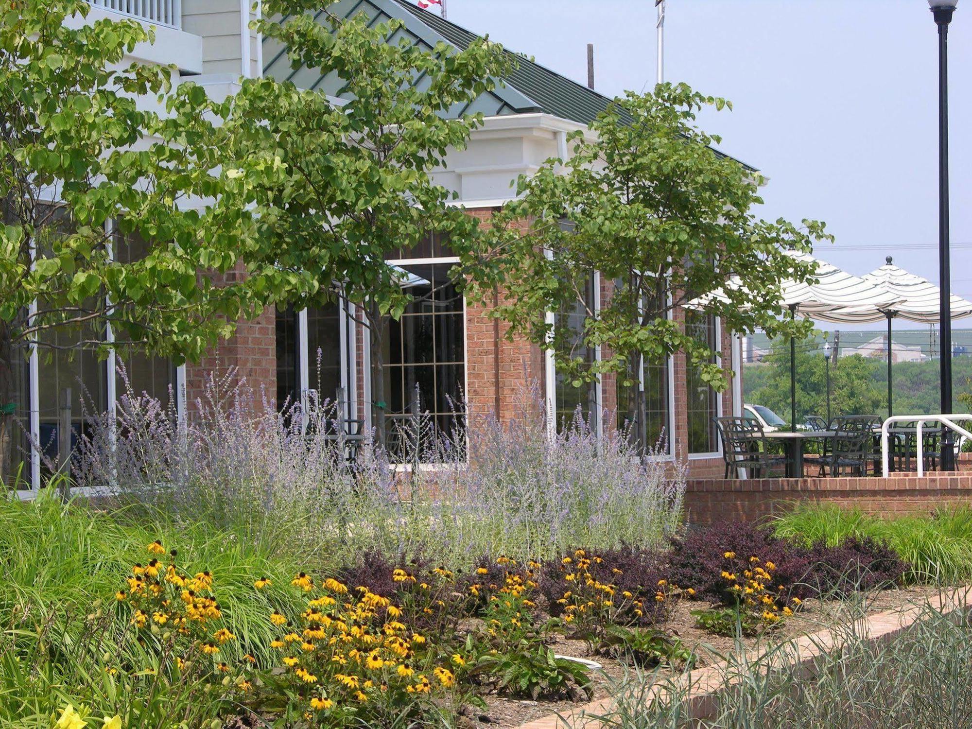 Hilton Garden Inn Kent Island Marina Grasonville Extérieur photo